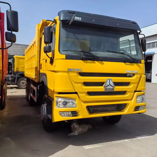 Sinotruk 12 rodas 50 toneladas HOWO caminhão basculante usado para mineração